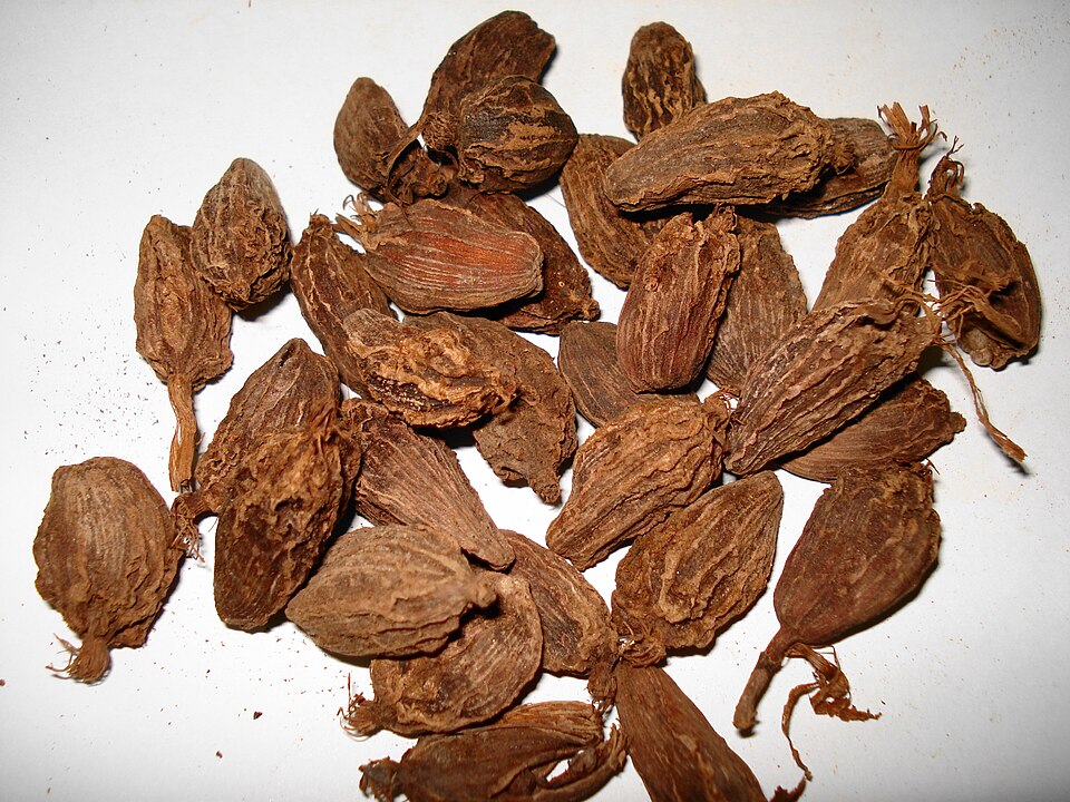 Cardamom Pods