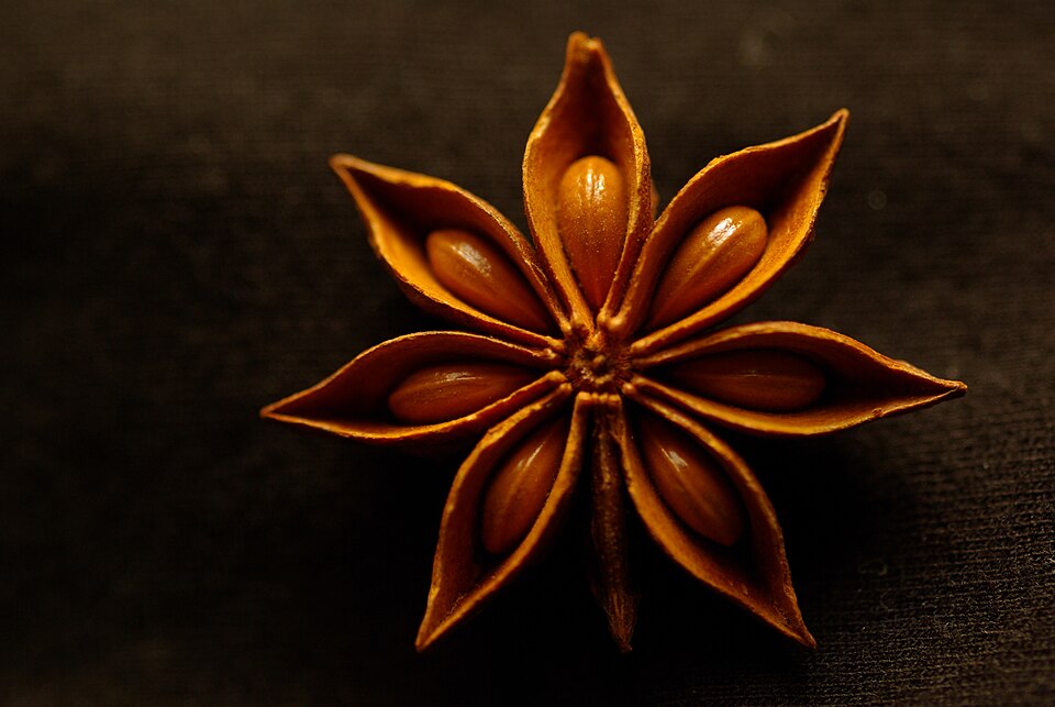 Star Anise